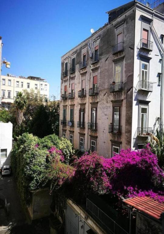 Bed and Breakfast Domus Luigi Leone 2 à Naples Extérieur photo